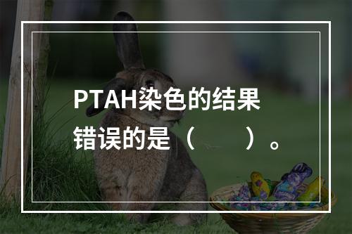 PTAH染色的结果错误的是（　　）。