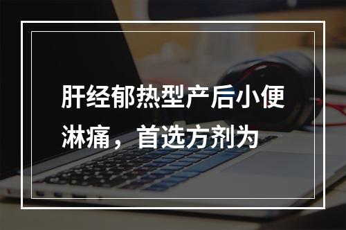 肝经郁热型产后小便淋痛，首选方剂为