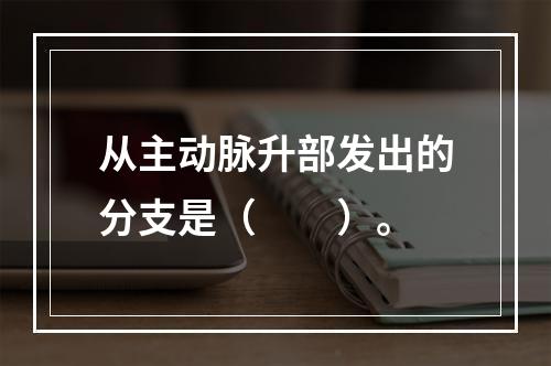 从主动脉升部发出的分支是（　　）。