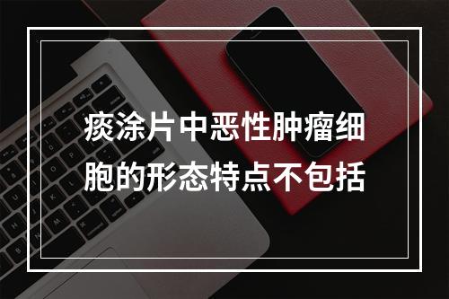 痰涂片中恶性肿瘤细胞的形态特点不包括