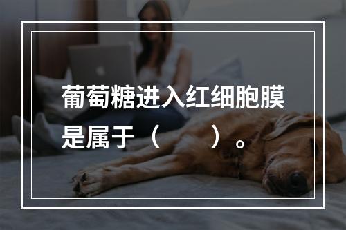 葡萄糖进入红细胞膜是属于（　　）。