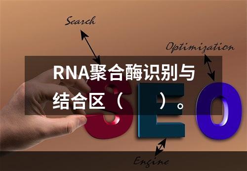 RNA聚合酶识别与结合区（　　）。