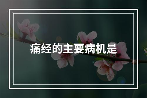 痛经的主要病机是