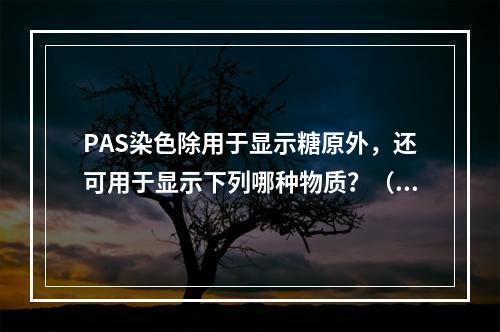 PAS染色除用于显示糖原外，还可用于显示下列哪种物质？（　