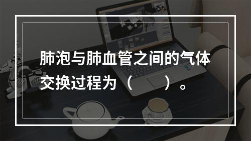 肺泡与肺血管之间的气体交换过程为（　　）。