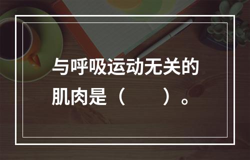 与呼吸运动无关的肌肉是（　　）。