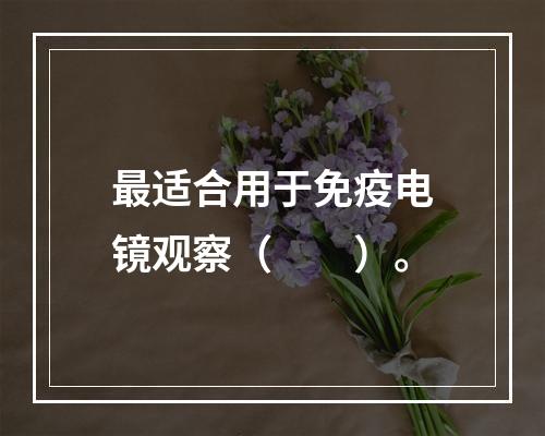 最适合用于免疫电镜观察（　　）。