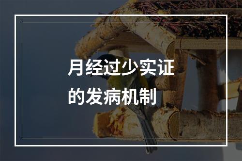 月经过少实证的发病机制