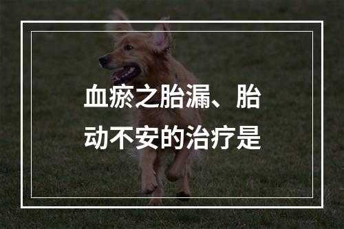 血瘀之胎漏、胎动不安的治疗是