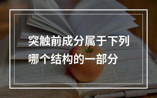 突触前成分属于下列哪个结构的一部分