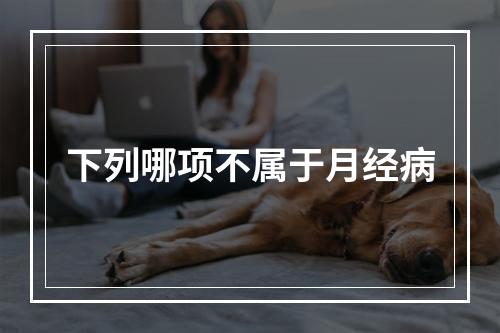 下列哪项不属于月经病