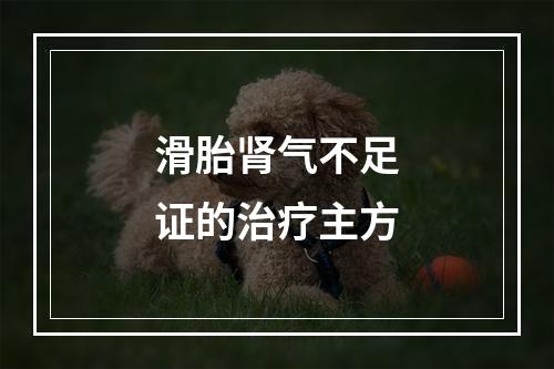 滑胎肾气不足证的治疗主方