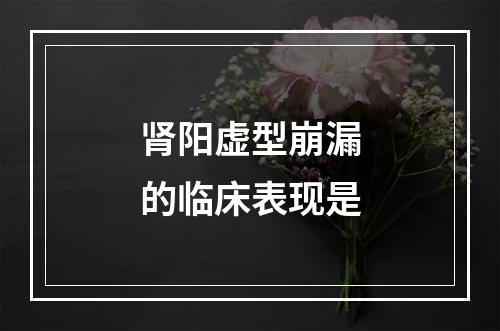 肾阳虚型崩漏的临床表现是