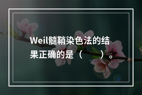 Weil髓鞘染色法的结果正确的是（　　）。