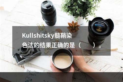 Kullshitsky髓鞘染色法的结果正确的是（　　）。