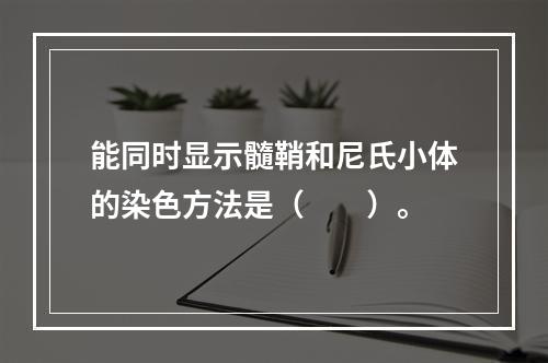 能同时显示髓鞘和尼氏小体的染色方法是（　　）。