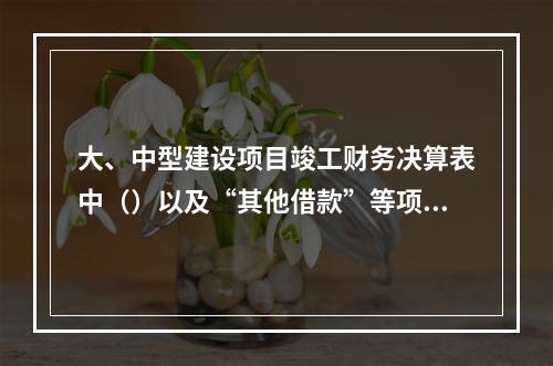 大、中型建设项目竣工财务决算表中（）以及“其他借款”等项目，