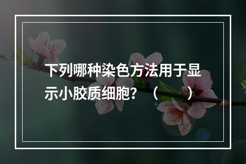 下列哪种染色方法用于显示小胶质细胞？（　　）