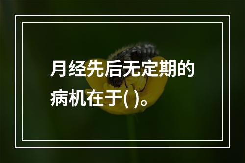 月经先后无定期的病机在于( )。