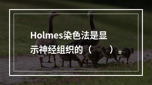 Holmes染色法是显示神经组织的（　　）。