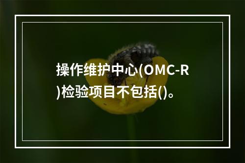 操作维护中心(OMC-R)检验项目不包括()。