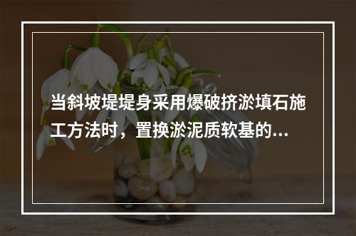 当斜坡堤堤身采用爆破挤淤填石施工方法时，置换淤泥质软基的()