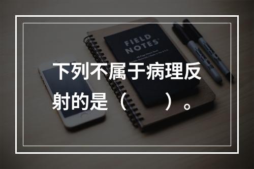 下列不属于病理反射的是（　　）。