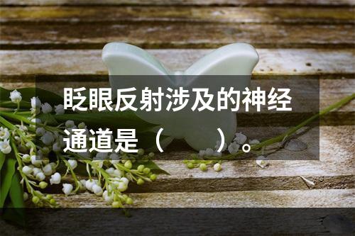 眨眼反射涉及的神经通道是（　　）。