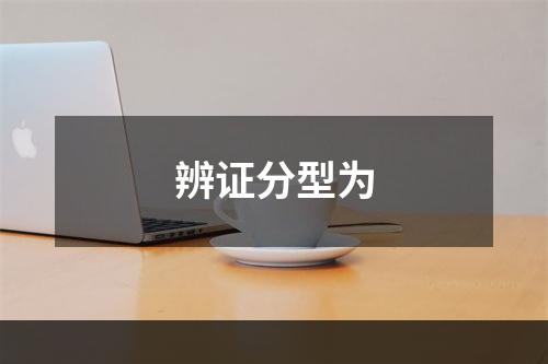 辨证分型为