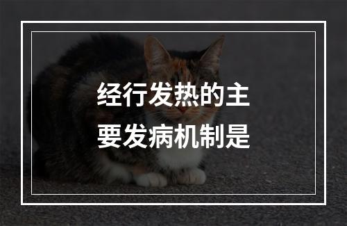 经行发热的主要发病机制是