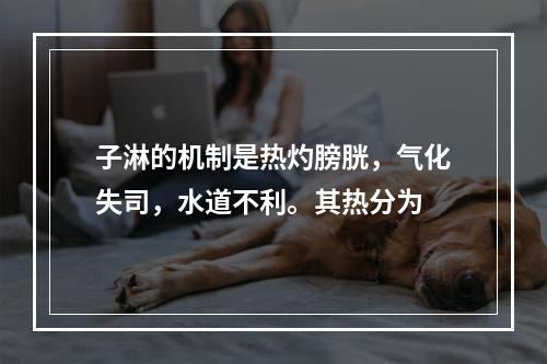 子淋的机制是热灼膀胱，气化失司，水道不利。其热分为