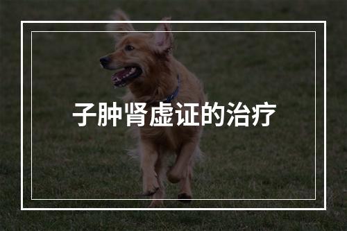 子肿肾虚证的治疗