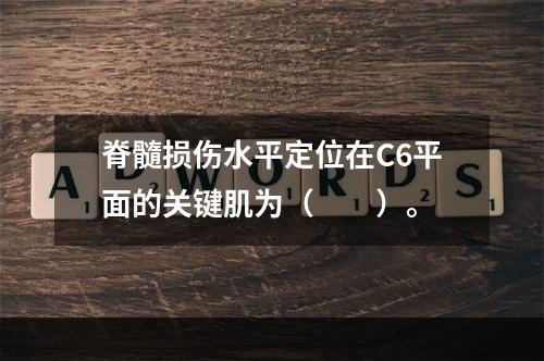 脊髓损伤水平定位在C6平面的关键肌为（　　）。