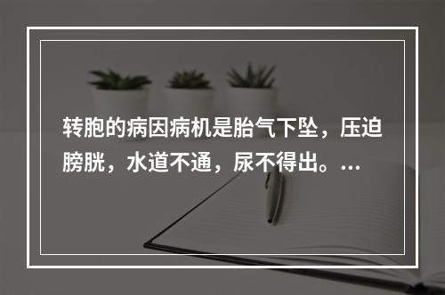 转胞的病因病机是胎气下坠，压迫膀胱，水道不通，尿不得出。临床