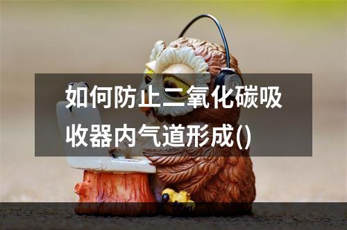 如何防止二氧化碳吸收器内气道形成()