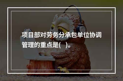 项目部对劳务分承包单位协调管理的重点是(   )。