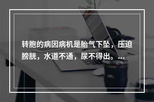 转胞的病因病机是胎气下坠，压迫膀胱，水道不通，尿不得出。临床