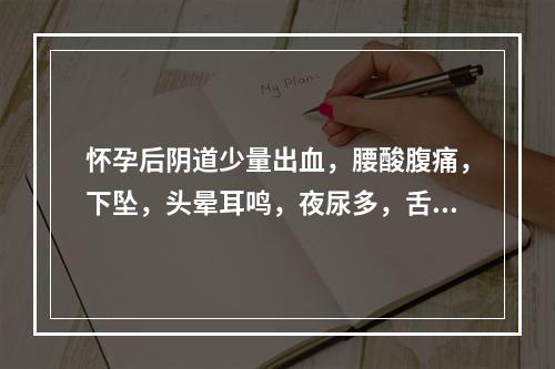 怀孕后阴道少量出血，腰酸腹痛，下坠，头晕耳鸣，夜尿多，舌淡暗