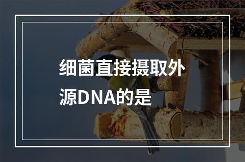 细菌直接摄取外源DNA的是