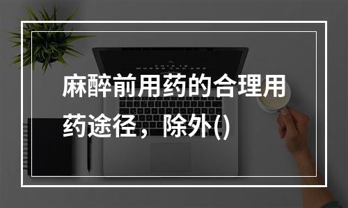 麻醉前用药的合理用药途径，除外()