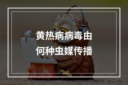 黄热病病毒由何种虫媒传播