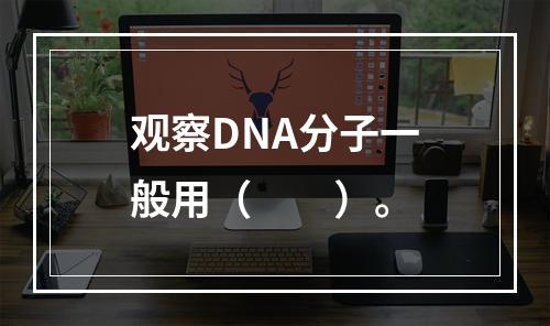 观察DNA分子一般用（　　）。