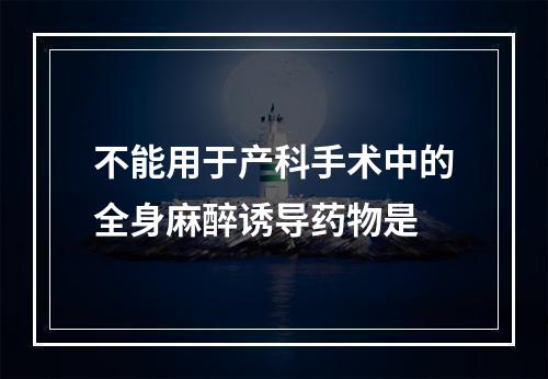 不能用于产科手术中的全身麻醉诱导药物是