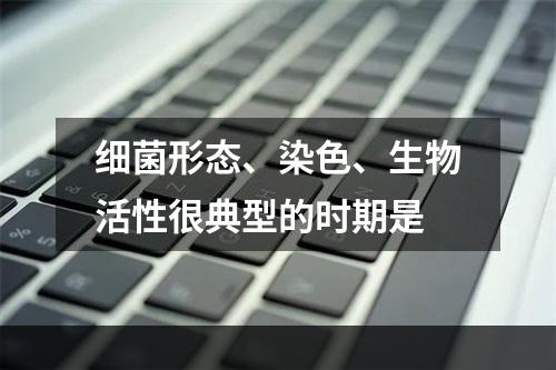 细菌形态、染色、生物活性很典型的时期是