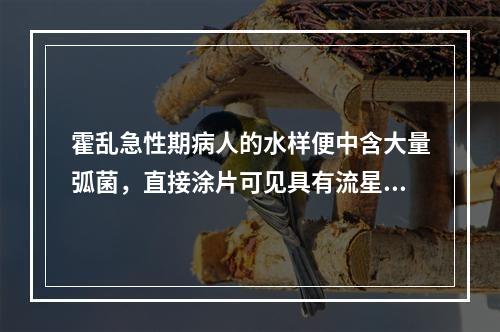 霍乱急性期病人的水样便中含大量弧菌，直接涂片可见具有流星状