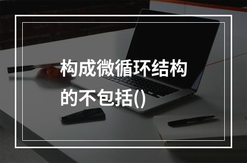 构成微循环结构的不包括()