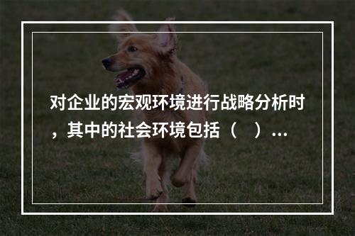 对企业的宏观环境进行战略分析时，其中的社会环境包括（　）。