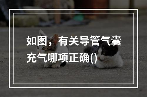 如图，有关导管气囊充气哪项正确()