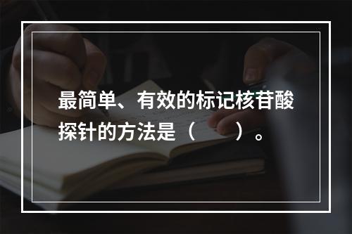 最简单、有效的标记核苷酸探针的方法是（　　）。