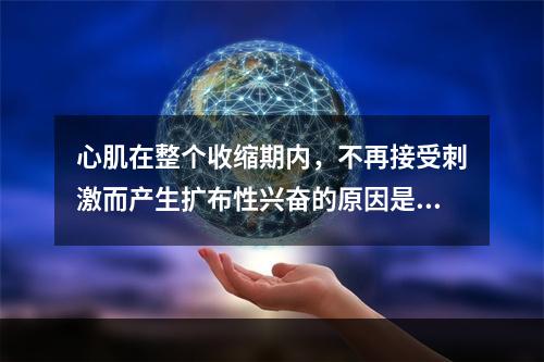 心肌在整个收缩期内，不再接受刺激而产生扩布性兴奋的原因是()